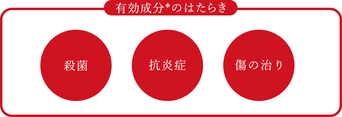 有効成分のはたらき