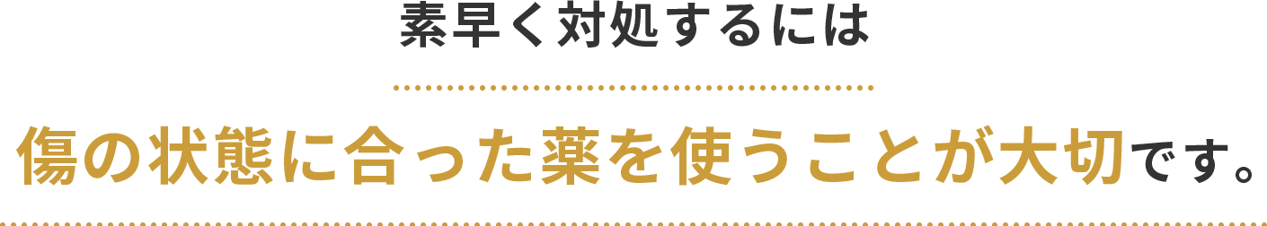 素早く対処するには傷の状態に合った薬を使うことが大切です。