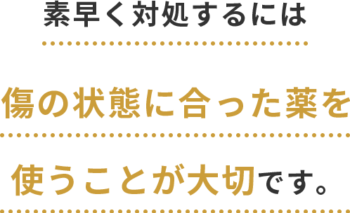 素早く対処するには傷の状態に合った薬を使うことが大切です。